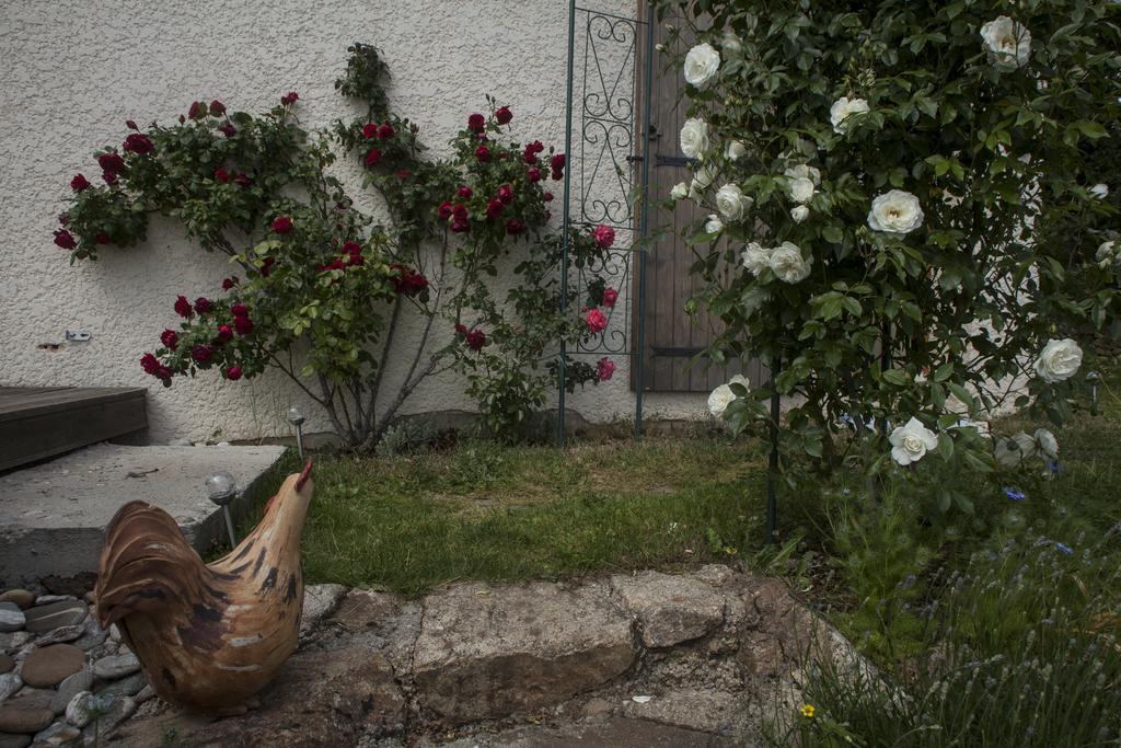 Chambre D'Hotes La Bichette Chassagny Zewnętrze zdjęcie
